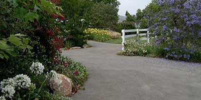Garden Entry